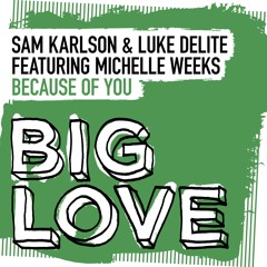 Sam Karlson & luke delite ft Michelle Weeks - Because Of You (Radio Edit)