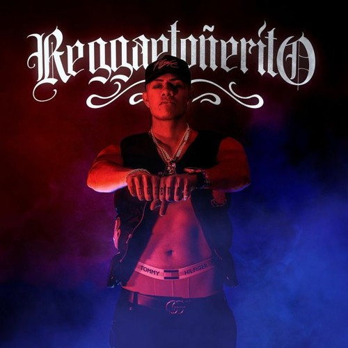 El Bogueto - Reggaetoñerito (FREE DOWNLOAD)(EXTENDED DJ VERSIONS)