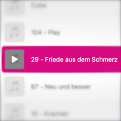 29 - Friede aus dem Schmerz