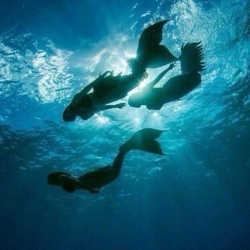 I feel like the problem (Prod. Sleepyy & renai & warheart )