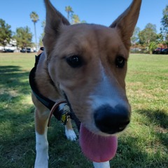 If Long Were Fat My Dick Would Be John Goodman