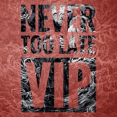 Never Too Late (VIP)
