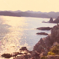 THE BLUE HEARTS〜終わらない歌〜(arrange)