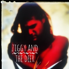 Ziggy And The Deer