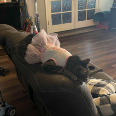 regex 2 (unfinished)