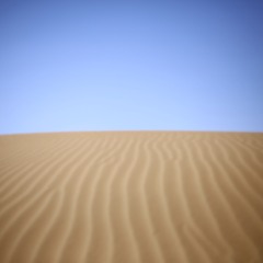 In The Desert