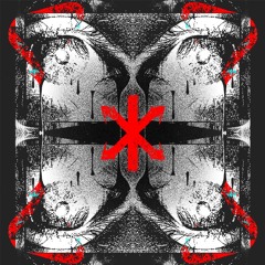 MIRTY - Come On [Premiere]