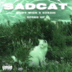 SADCAT (feat. KIIXSHI) [SPEED UP]