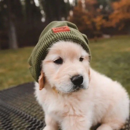 Numb (Unnoticed) - Thothloc