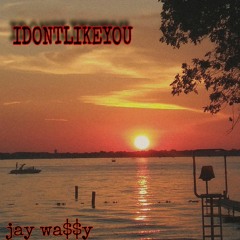 IDONTLIKEYOU!