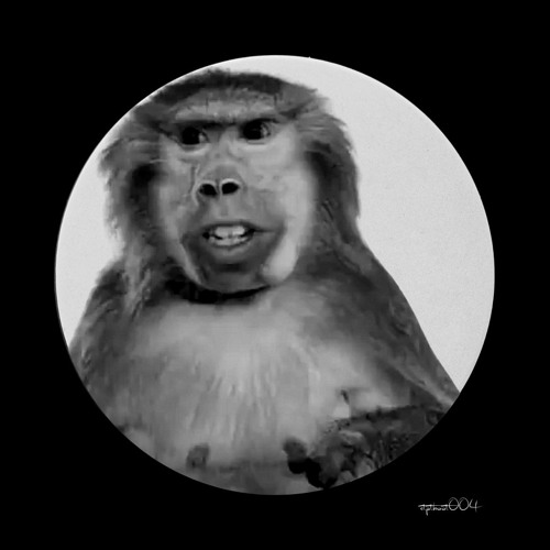 Joku - Wheres Your Head At (STPTBOOT004)