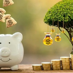 Plant Your Money Tree and Save