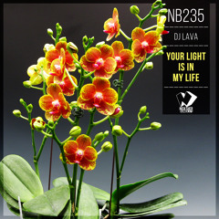 DJ Lava - Your Light Is in My Life (Original Mix)