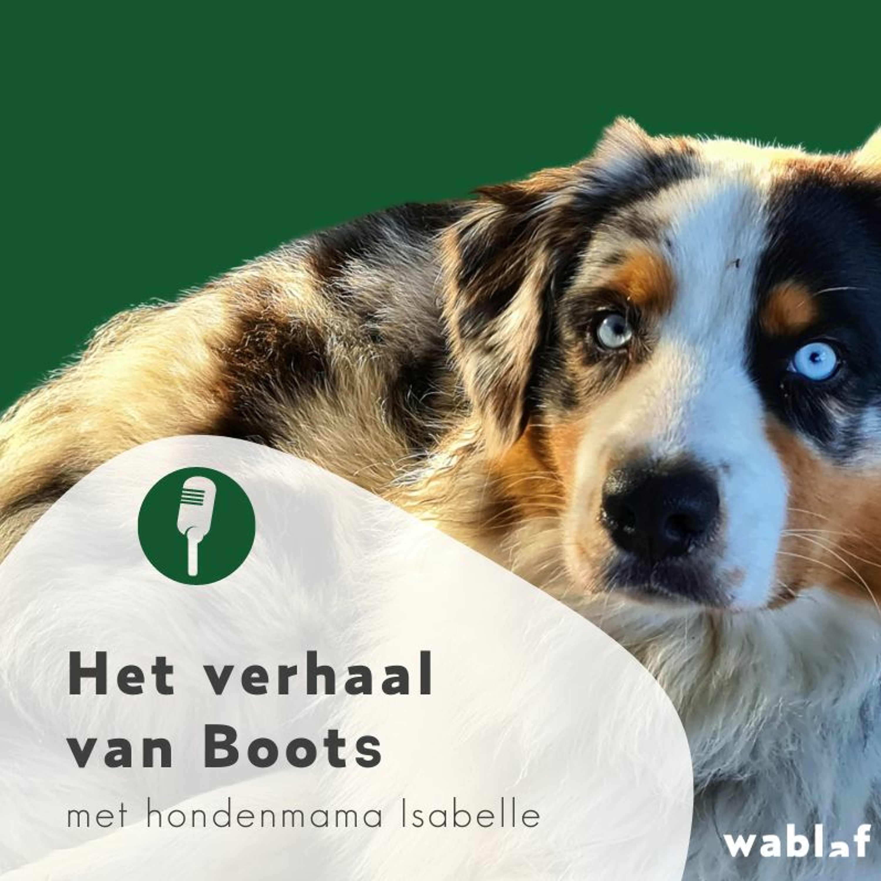 Bewuste Hondenmoeders