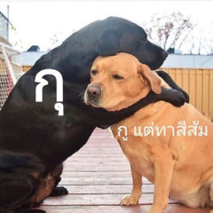 สิ่งเดียวที่รู้สึก - Aumsin feat. stoondio - เนียร์