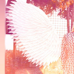 Крылья V1(Т.Кирова)