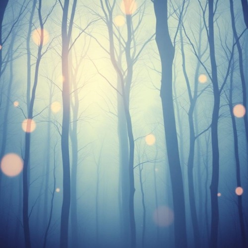 THE LITANY OF INNER LISTENING