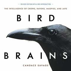 [GET] EBOOK EPUB KINDLE PDF Bird Brains: The Intelligence of Crows, Ravens, Magpies, and Jays by  Ca