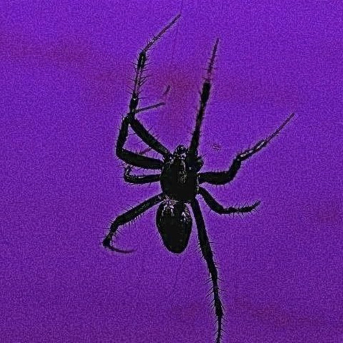 A-RACK-NID