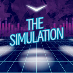 The Simulation
