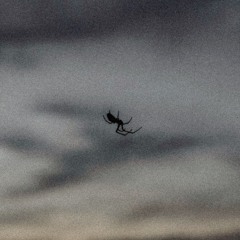 IHateEverythingAboutMyself