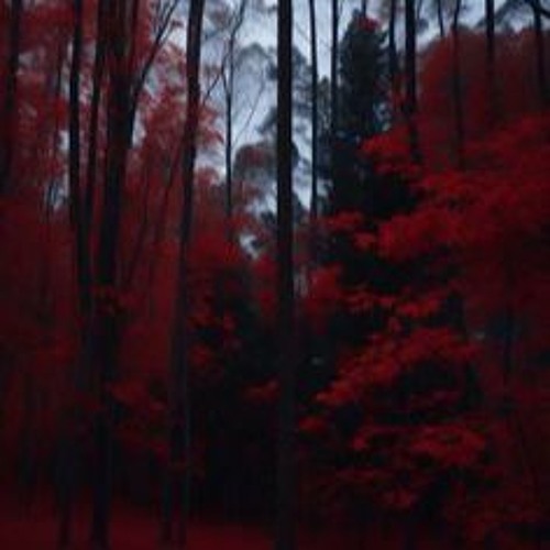 nothing else (i41 octo)