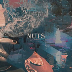 Lil Peep - nuts feat. rainy bear ( Tobi Flip)