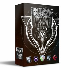 Panda Sound - The Jackals Session