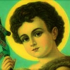 Forró Santo Festeiro (7♠️remix)