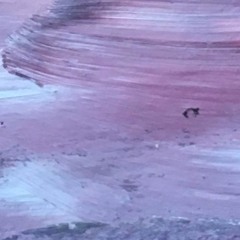 Haneiros Halalu (Chabad) — Melody for after Chanukah candle-lighting