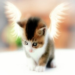 me bloqueaste¡¡ >:,((((