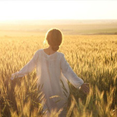 حبال وقعت لي في النعماء سيدي - خدمة السماء على الأرض - مصر