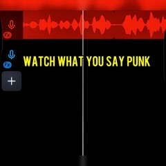Watch What You Say Punk!