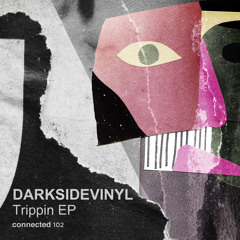 Darksidevinyl - The Funk [connected] [MI4L.com]