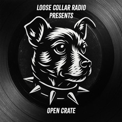 Loose Collar Radio - Open Crate