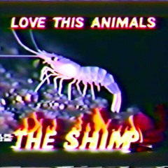 random tdg playlist