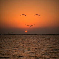 Apopsethelwnaxathwwwwwwwwwww