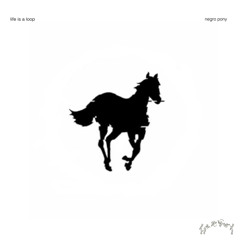 Persona - negro pony