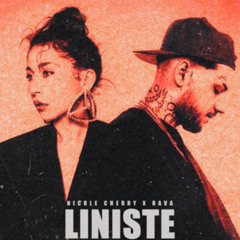 Nicole Cherry x RAVA - Liniște