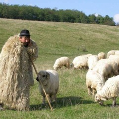 Nightmachine - Eusbrutus