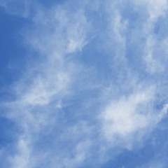 37 {you wanted this anyway}