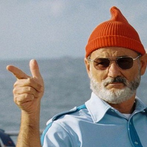 i cant sing but birds can