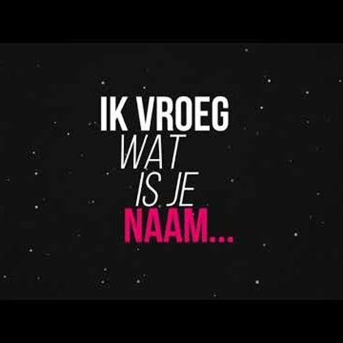 Niels Korsuize - Mariloe