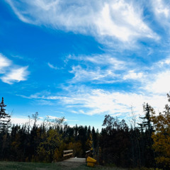 senses (prod me & borgiolini)