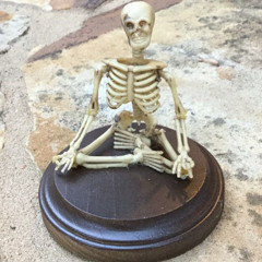 eternal zen