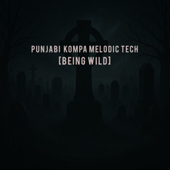 Punjabi Kompa Melodic house and Techno