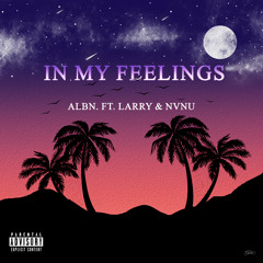 In My Feelings (ft. NVNU & Larry)