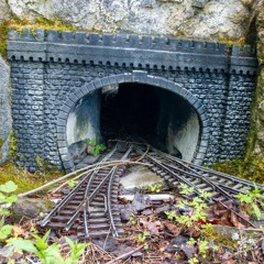 Nighttime Without Darkness, Daytime Without Light