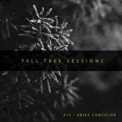 Tall Tree Sessions #15 - Abies Concolor (Deep House | Drum & Bass | Progressive House)