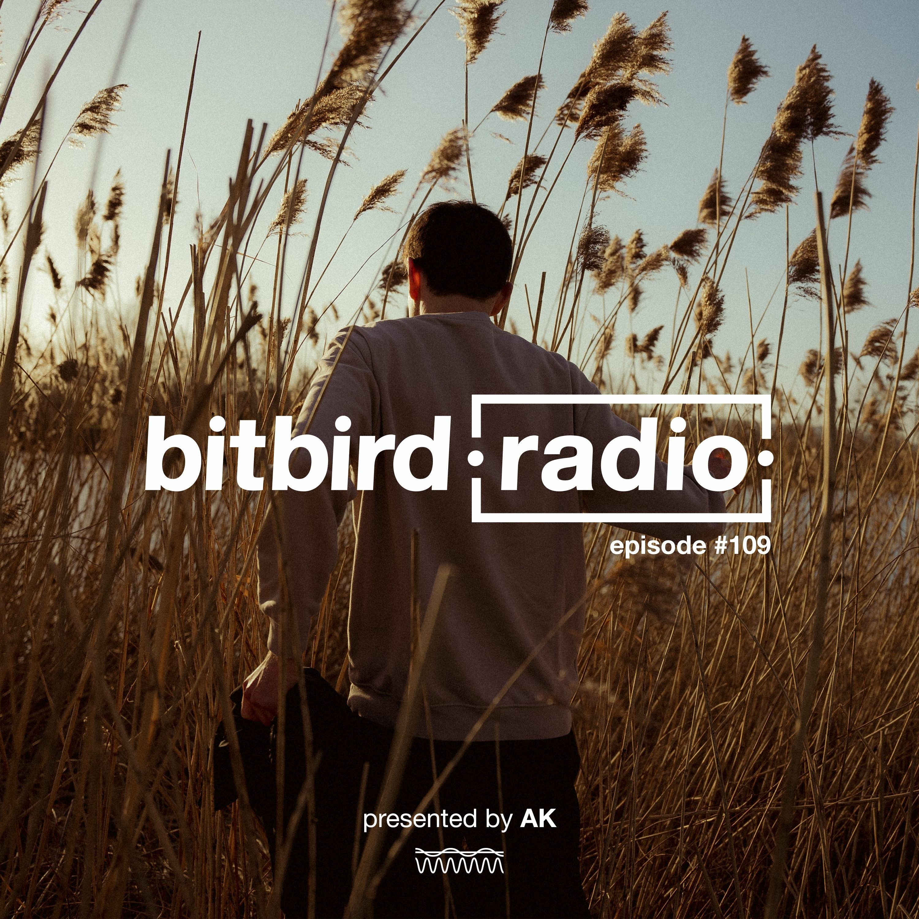 bitbird Radio